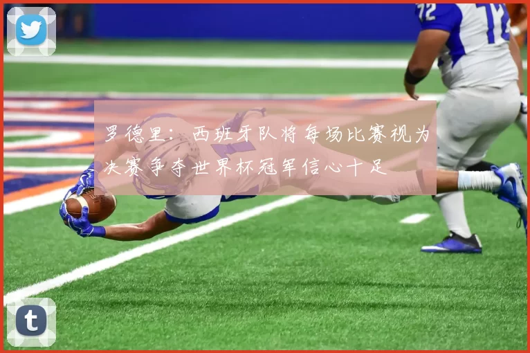 罗德里：西班牙队将每场比赛视为决赛争夺世界杯冠军信心十足